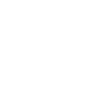 Mr Miyagi Logo