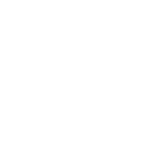 Heineken Logo